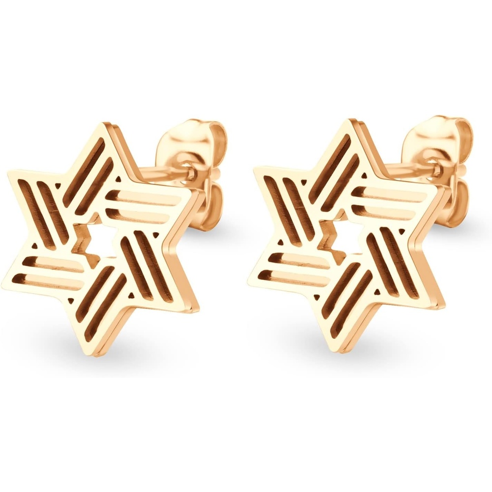 image:image555Jewelry Modern Hypoallergenic Stainless Steel Ribbed Star of David Stud Earrings for WomenRose Gold