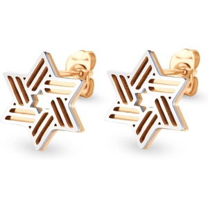 image:image555Jewelry Modern Hypoallergenic Stainless Steel Ribbed Star of David Stud Earrings for WomenSilverRose Gold