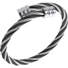 Silver & Black