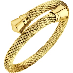 image:image555Jewelry Classic Vintage Stainless Steel Twisted Wire Cuff Bracelet BangleYellow Gold
