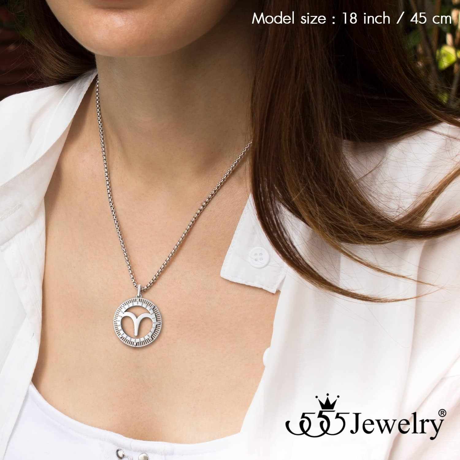 image:image555Jewelry Stainless Steel Horoscope Zodiac Sign Necklace Pendant for Men amp Women Aries Silver