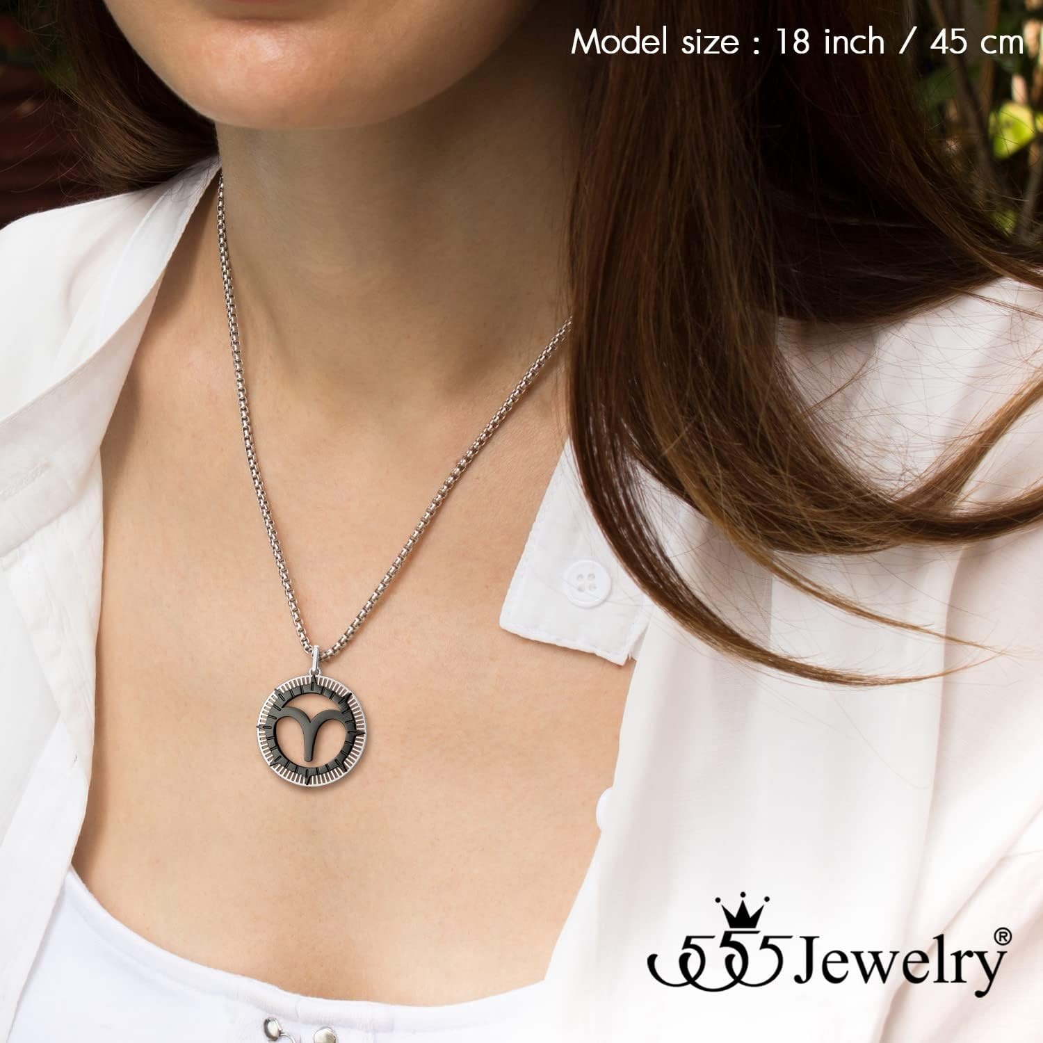 image:image555Jewelry Stainless Steel Horoscope Zodiac Sign Necklace Pendant for Men amp Women Aries SilverBlack
