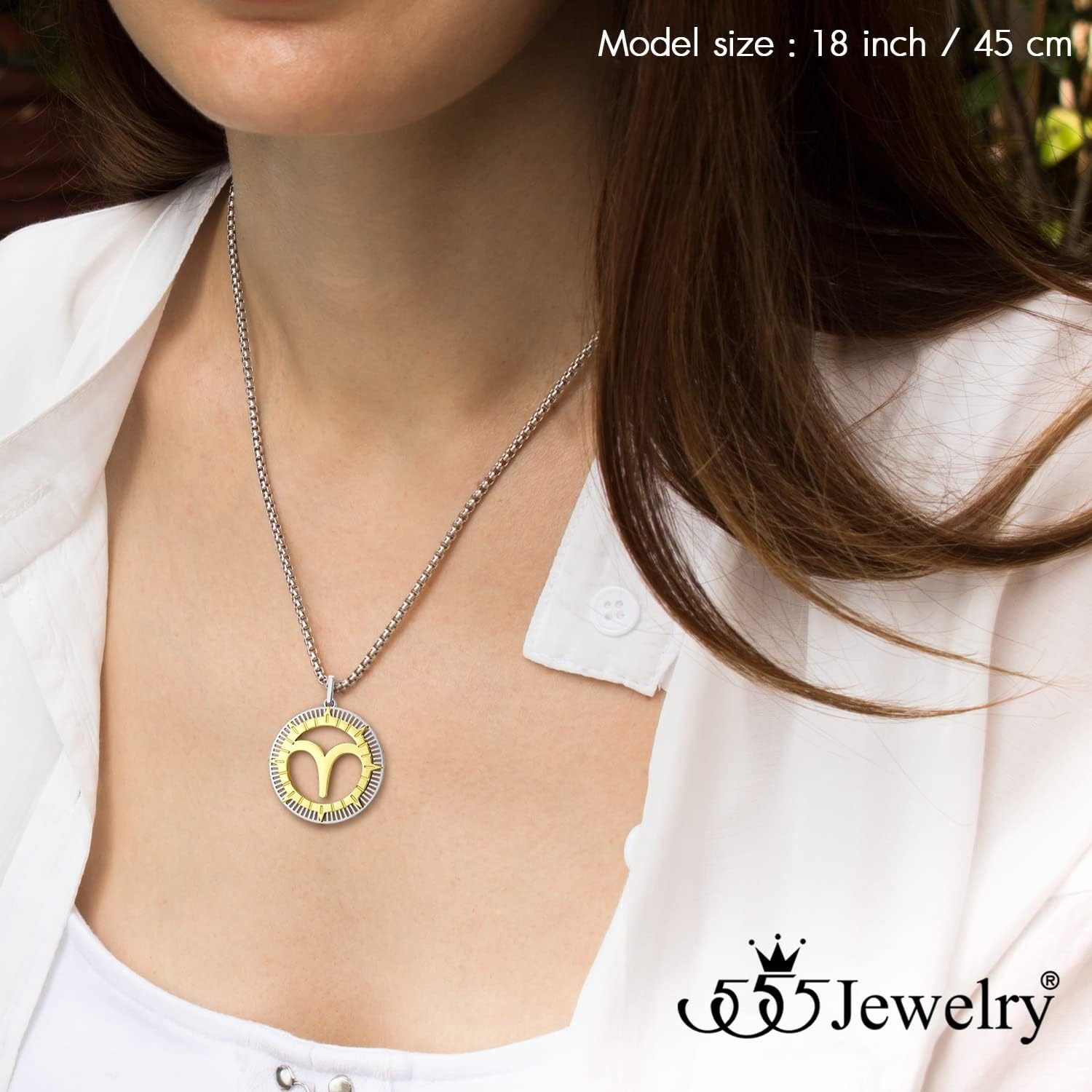 image:image555Jewelry Stainless Steel Horoscope Zodiac Sign Necklace Pendant for Men amp Women Aries SilverGold