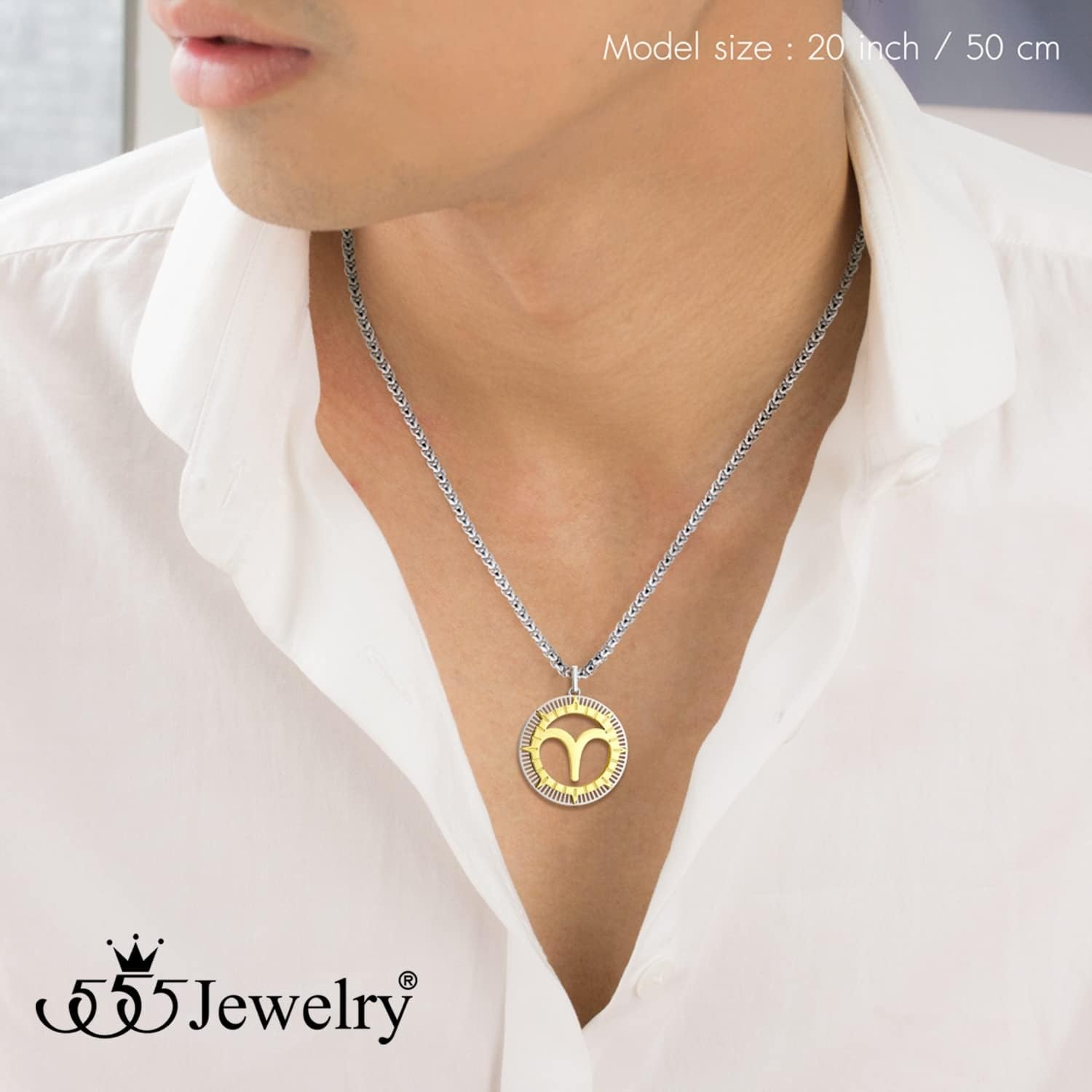 image:image555Jewelry Stainless Steel Horoscope Zodiac Sign Necklace Pendant for Men amp Women Aries SilverGold