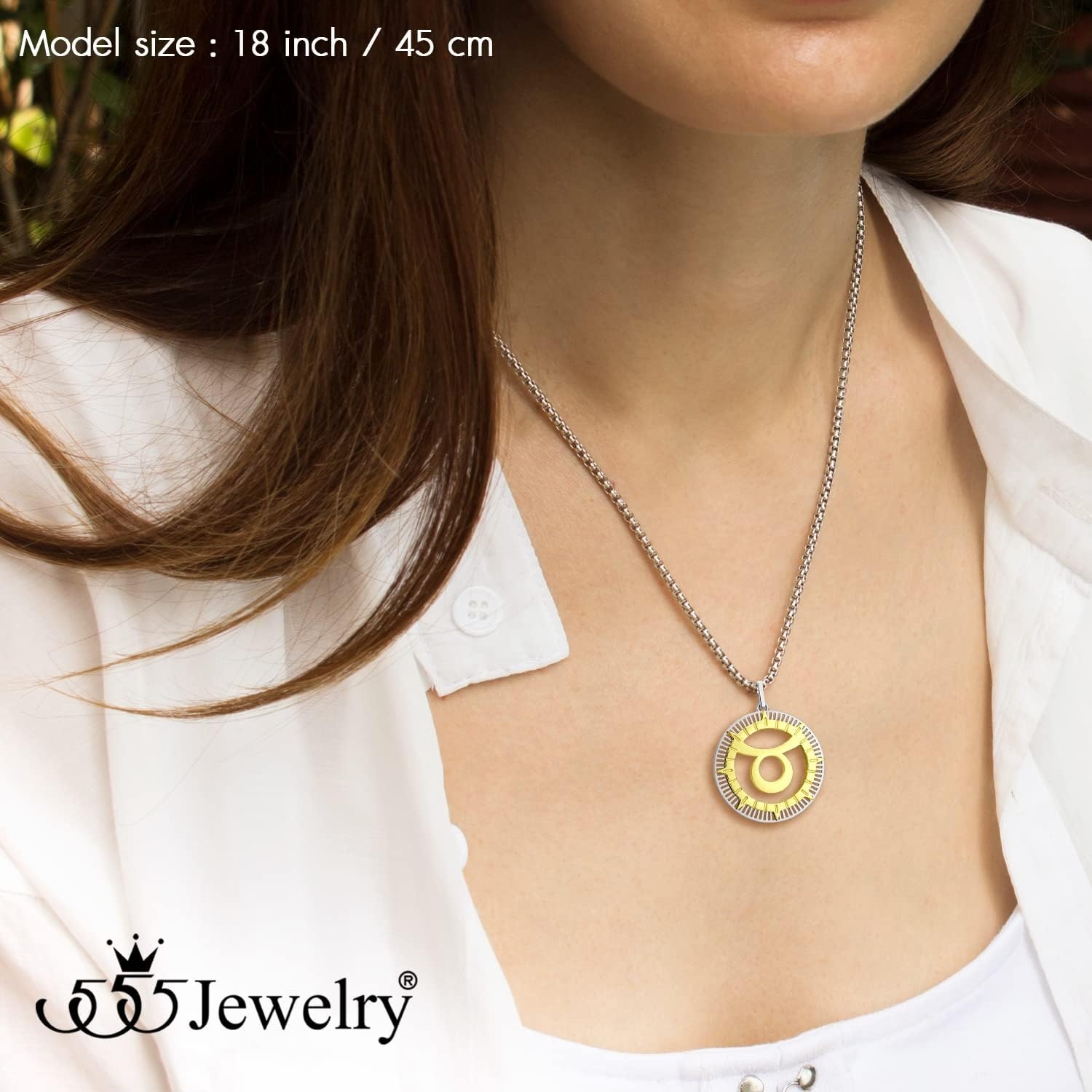 image:image555Jewelry Stainless Steel Horoscope Zodiac Sign Necklace Pendant for Men amp Women Taurus SilverGold