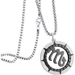 image:image555Jewelry Stainless Steel Horoscope Zodiac Sign Necklace Pendant for Men amp Women Scorpio  SilverBlack